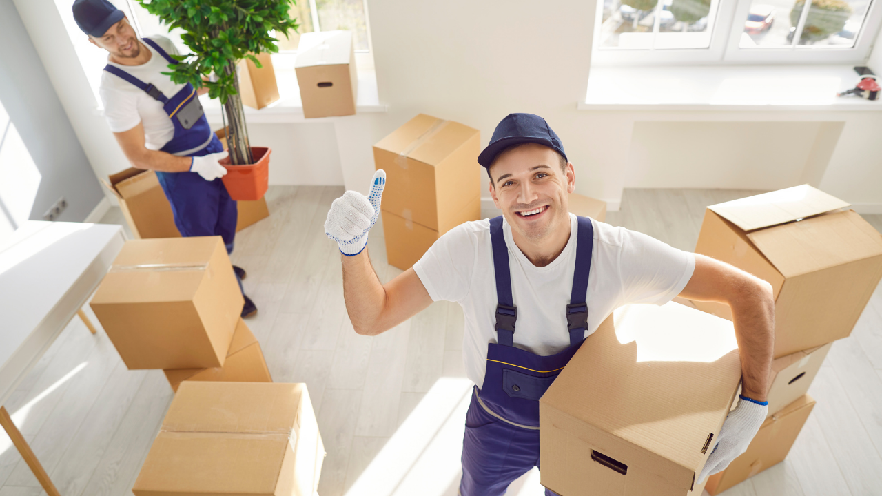 Why Professional Office Relocation Services Are Important for Your Business